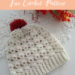Shell V Shell Crochet Slouch - free crochet pattern