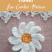 Crochet Daisy Flower Free Pattern