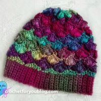 Crochet Shell N Picots Slouch Hat - free pattern