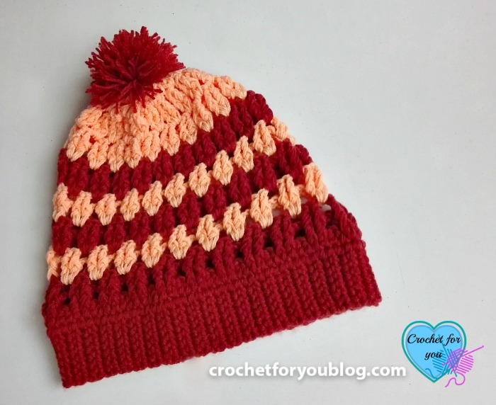 Roana Slouchy Beanie - free crochet pattern