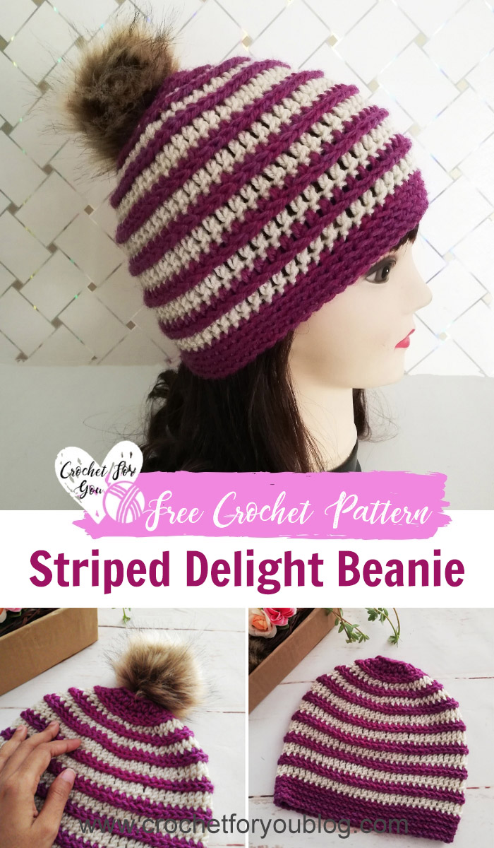 Crochet Striped Delight Beanie Free Pattern