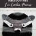 Crochet Woodland Raccoon Hat Free Pattern
