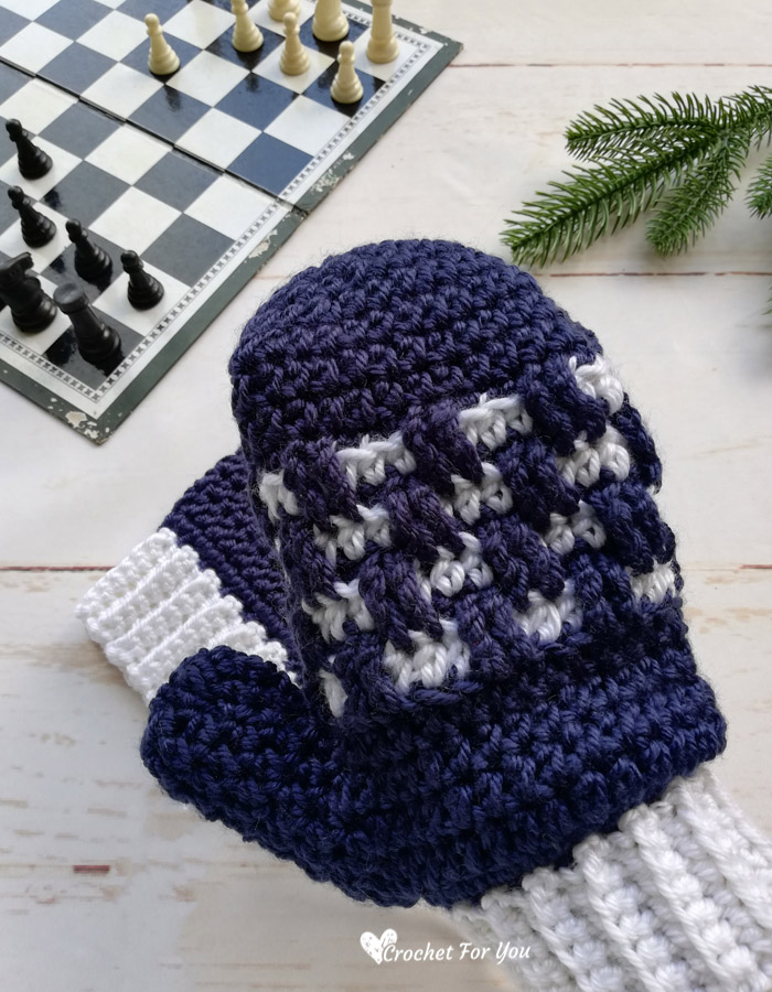 Crochet Checkered Mittens Free Pattern 