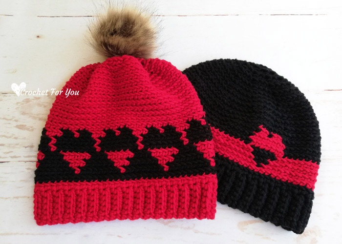 Crochet Hearts Couple Hat Free Pattern