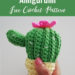 Cactus Ice Cream Cone Free Crochet Pattern