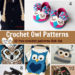 Crochet Owl Patterns – 10 free crochet patterns link list