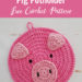 Crochet Pig Potholder Free Pattern