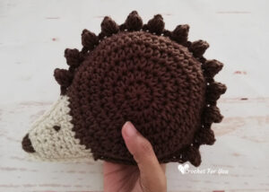 Crochet Hedgehog Ragdoll Amigurumi Pattern