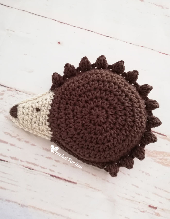 Crochet Hedgehog Ragdoll Amigurumi 