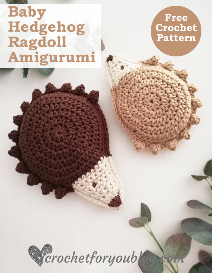 Baby Hedgehog Ragdoll