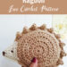 Baby Hedgehog Ragdoll Amigurumi