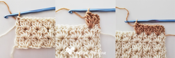 Crochet Cluster V Stitch