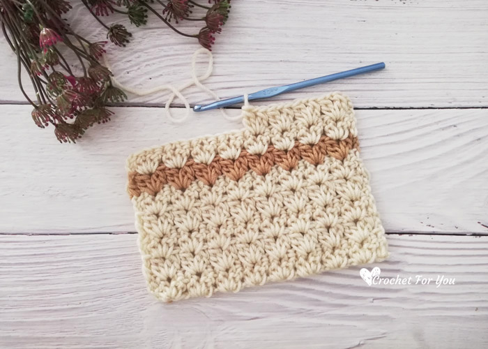 Crochet Cluster V Stitch Tutorial