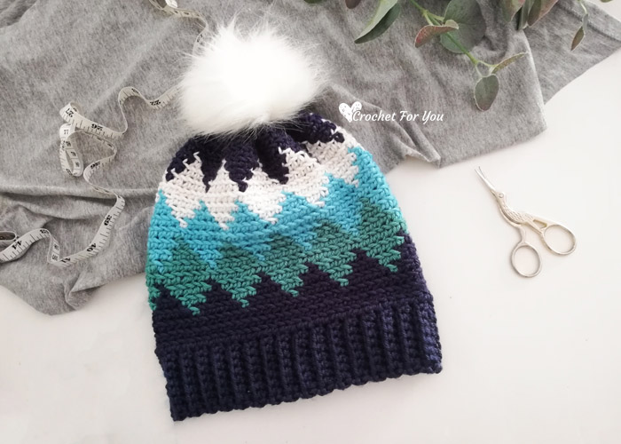 Crochet Beanie