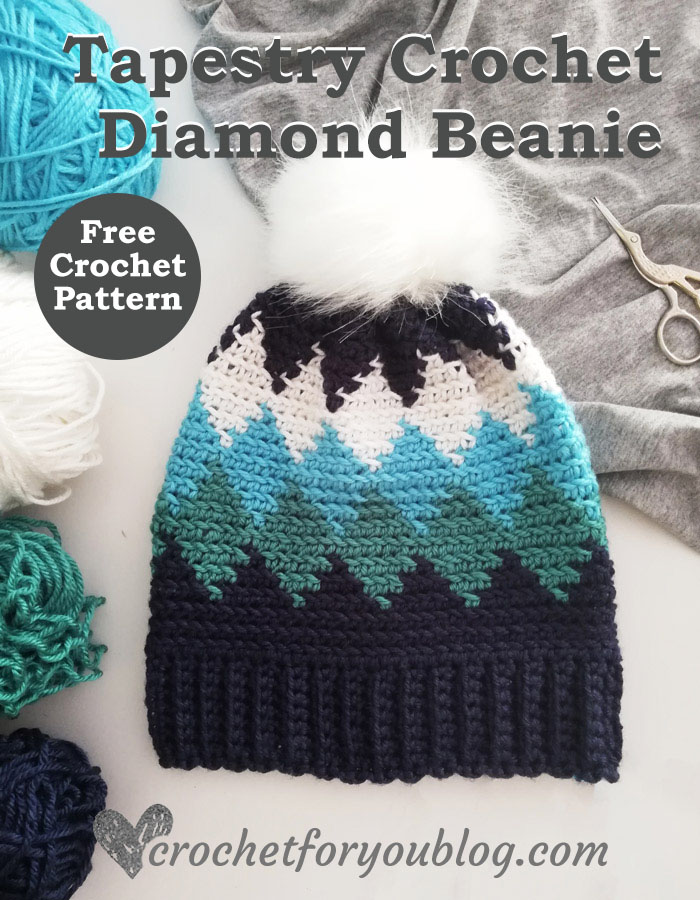 Tapestry Crochet Diamond Beanie