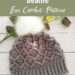 Crochet Bavarian Stitch Beanie