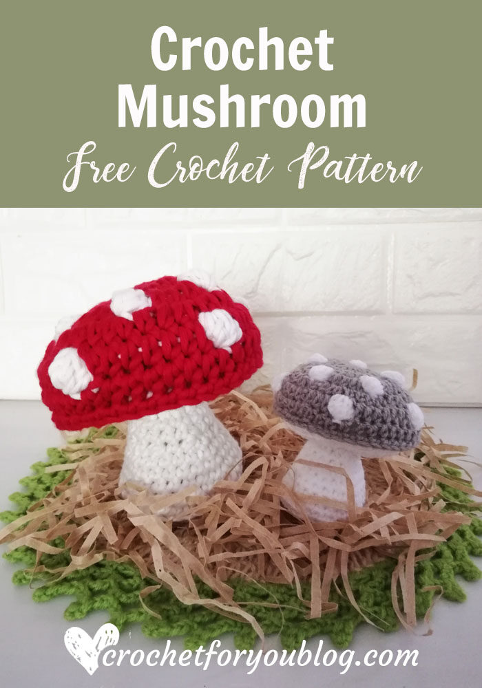 Crochet Mushroom Free Pattern