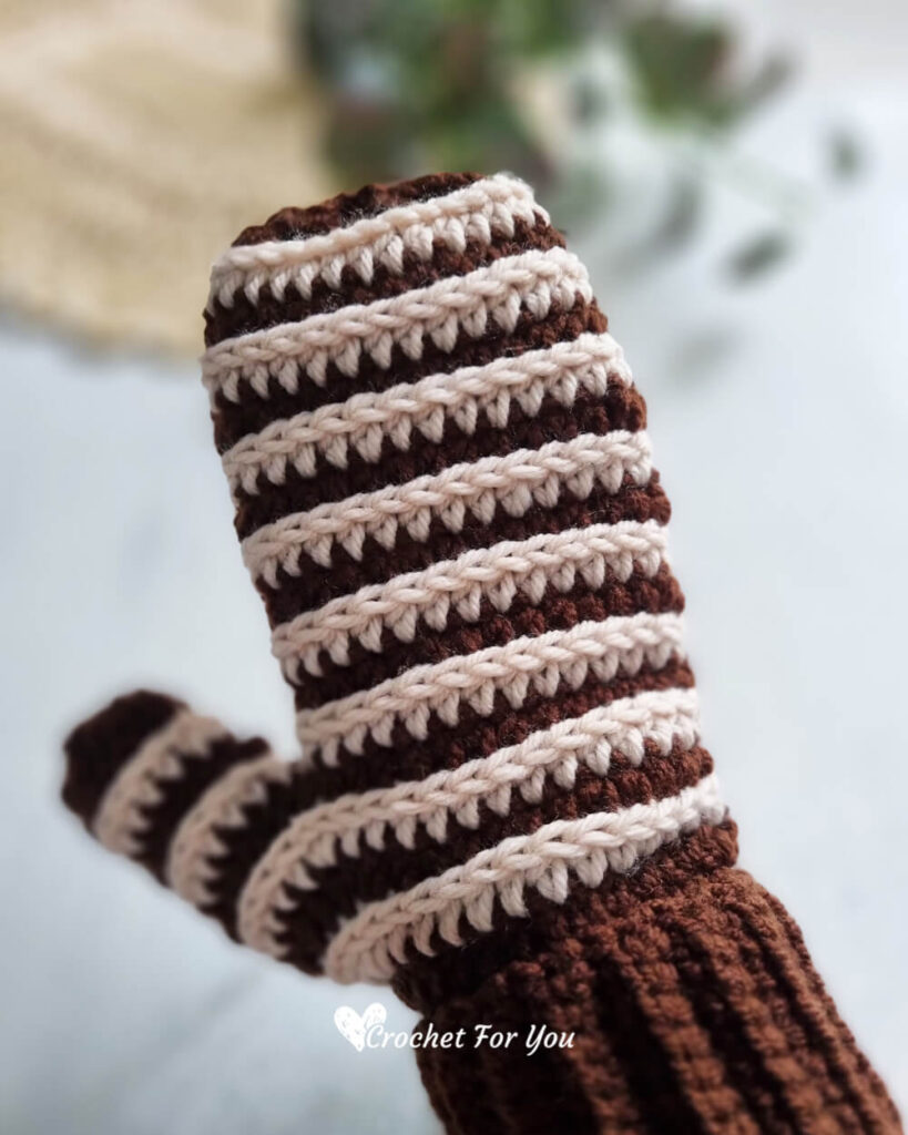 Crochet Striped Delight Mittens Free Pattern